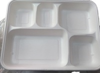 Assiette jetable biodégradable et compostable 100% Pack de plateaux alimentaires ronds écologiques avec des plats à motif végétal Utilisation pour le dîner