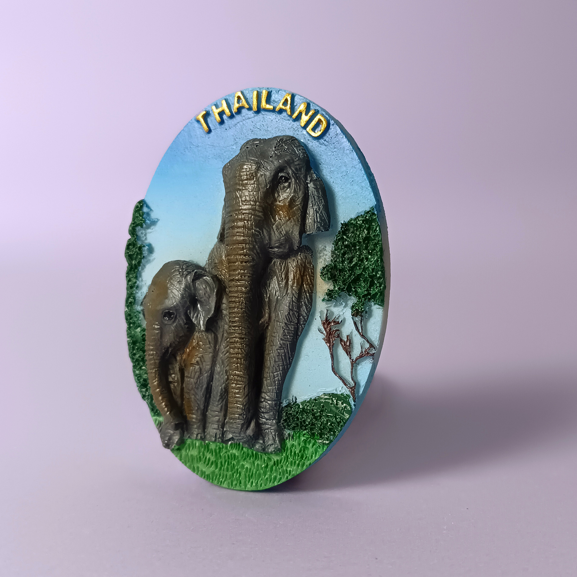 ช้างไทย F120