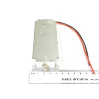 Amplificateur de puissance GaN personnalisable 50W 300-400MHz, module Lora, module anti-drone, VCO intégré