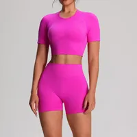 Ensemble de 2 pièces : T-shirts et shorts de sport yoga unis, sans couture, taille élastique, vêtements de sport pour femmes, leggings de gym