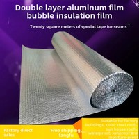 Film bulle isolant thermique moderne et écologique pour toiture, serre en acier coloré, maison solaire, matériau d'isolation imperméable et pare-soleil