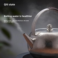 Nouvelle bouteille d'eau QITI Xuan Su 1L en titane pur écologique, théière de camping d'extérieur avec poignée, pot électrique en céramique de style chinois