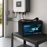 Batterie LiFePO4 12V 100Ah 12,8V 1280Wh à décharge profonde pour stockage d'énergie domestique, remplacement de batterie solaire au plomb-acide