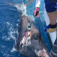 Leurre de pêche à la traîne pour bar de mer en cuivre, en acier inoxydable et en aluminium.