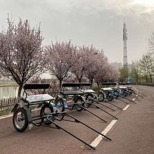 High Quality 2wheeled Pony Carriage Factory Direct Cheap Used Wagon New Style Pony Carriage - Product Image 3