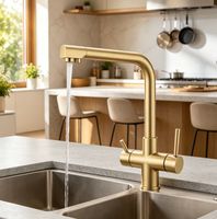 Robinet de cuisine moderne 3-en-1 en or brossé avec filtre, mitigeur double poignée pour évier