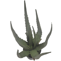 CHUANGFA 34cm handgemachte künstliche Aloe Vera Baum realistische Kunst metall Gras Pflanze für den Innenbereich für Hochzeit Handwerk Anlässe