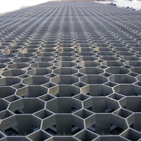 Grille de renforcement de sol robuste pour pavés en gazon, idéale pour les applications en parcs et la construction de paysages extérieurs