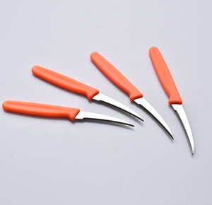 Couteau à fruits DF13 KIWI-fruits en acier inoxydable pour le camping - Product Image 6