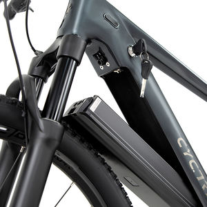 <span class=keywords><strong>EM5</strong></span>-2ème VTT électrique avec moteur central 36V250W (48V250W) Fourche à suspension à batterie au lithium Frein à disque hydraulique E Bike - Product Image 3