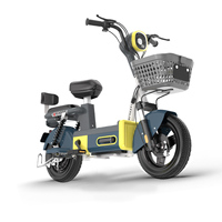 Vélo Électrique Urbain Adulte 14 Pouces Dernier Modèle en Gros, Moteur Brushless Haute Vitesse 48V, Cadre en Acier Inoxydable, Batterie au Plomb