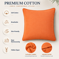 Housse de coussin personnalisable OEM ODM en coton doux et agréable pour la peau