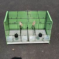 Cage d'élevage commerciale en métal pour oiseaux avec séparateur, grande cage à oiseaux pour fermes d'élevage, vente en gros de haute qualité depuis la Chine