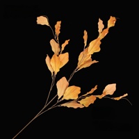 Fleurs artificielles, plantes artificielles, coquillages, feuilles, algues, décoration intérieure, décoration d'hôtel, photographie et décoration