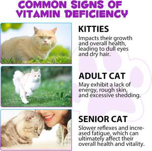 OEM/ODM Accepté, Saveur Canard, 60 ml, Approuvé par la FDA, Vision Liquide avec <span class=keywords><strong>Huile</strong></span> <span class=keywords><strong>de</strong></span> <span class=keywords><strong>Foie</strong></span> <span class=keywords><strong>de</strong></span> <span class=keywords><strong>Morue</strong></span> <span class=keywords><strong>pour</strong></span> Aider à Maintenir l'Intégrité - Product Image 2