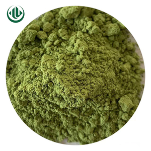 Polvo de té instantáneo verde Matcha de grado M3 a granel adelgazante té verde Matcha en polvo certificado Halal envasado al vacío 5KG envasado - Product Image 1