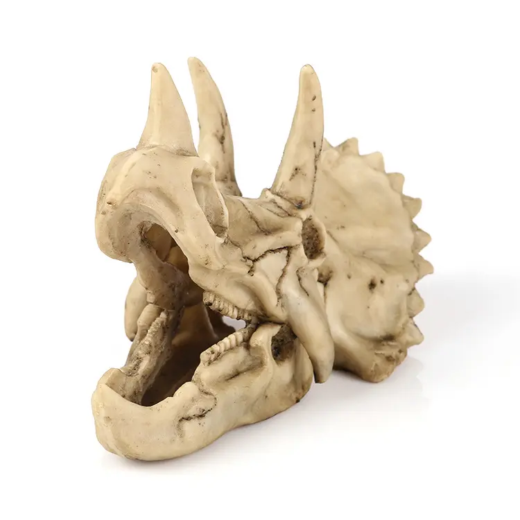 Polyresin/Resin Dinosaurus Resin Dinosaurus Triceratops Tengkorak Imitasi Model Simulasi Kerangka Rumah Kantor Tampilan Dekoratif