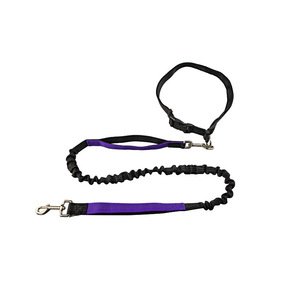 Correa elástica de nailon para perros para deportes al aire libre, cadena para perros, correa reflectante para caminar de noche. - Product Image 2