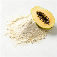 Natuurlijk gedroogd papajapoeder, voedingskwaliteit, 25kg bulk groothandel voor voedingsmiddelen & gezondheidsproducten
