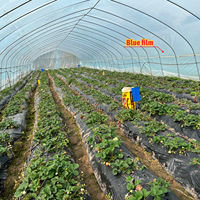 Grande serre à arche double couche en PE pour légumes, avec une transmission lumineuse élevée