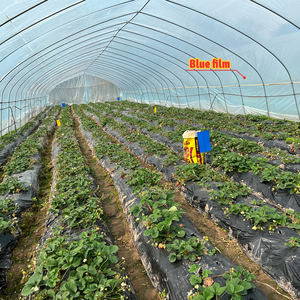 Grande <span class=keywords><strong>serre</strong></span> à arche double couche en PE pour légumes, avec une transmission lumineuse élevée à l'intérieur et une protection anti-UV contre l'ombrage - Product Image 5
