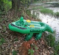 Waterhan En gros Matelas de natation gonflable en PVC pour enfants, motif Alligator Crocodile, Modèle Guangdong FAJ545Y417