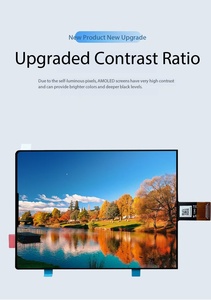 Módulo de Pantalla AMOLED de 3.92 Pulgadas con Brillo de 500nit, 1080 x 1240 e Interfaz MIPI, Circuito Integrado de Control CH13726A, 16.7 Millones de Colores - Product Image 4