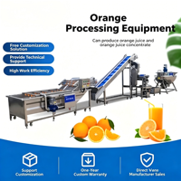 Petit équipement de traitement du jus d'orange, mini-machine de production de purée d'orange Navel, ligne de production spéciale de jus d'orange