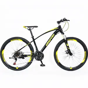 China Cheap Wholesale High-Carbon Steel Cool Sport Bicycle Mtb Men Racing Mountain Bike For Sale