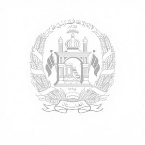 Drapeau de l'Afghanistan 3*5 pieds en polyester, bannière nationale afghane, 2 œillets en laiton, double face, léger, résistant aux déchirures, marque personnalisée - Product Image 2