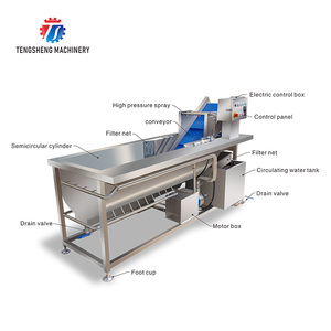 Máy rửa rau quả tự động tạo bọt xoáy Máy rửa rau quả Máy rửa cam quýt TS-X220 - Product Image 3