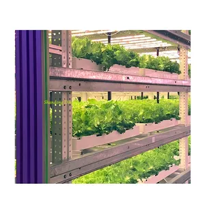 Handels-Wasserkultur-Containersystem Salat Salat hydroponischer vertikaler Anbau 40 HQ Container-Bauernhof Anlage Werk