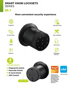 Tuya APP Smart <strong>Lock</strong> Door Handle <strong>Lock</strong> with Fingerprint (100 Capacity) Key (2 <strong>PCS</strong>) Password Home Apartment Door Lockset - Product Image 4