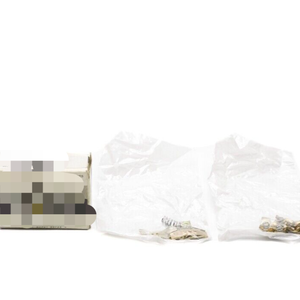 9998sl-<span class=keywords><strong>3</strong></span> 系列。 NSMP全新原装现货工业自动化PAC专用PLC编程控制器 - Product Image 1