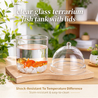 Accessoires de décoration intérieure, articles écologiques, faits à la main, en verre borosilicate transparent, terrarium pour plantes, vase à mousse, aquarium avec couvercles