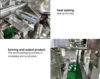 Machine à sauce multifonctionnelle en plastique avec système d'ensachage pour liquides/pâtes, boissons, pompe de pesage et de scellage électrique automatique