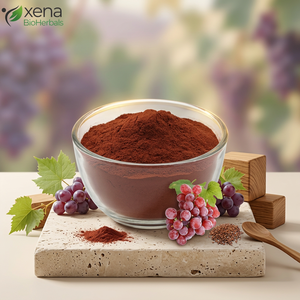 Fournisseur en gros de poudre d'extrait de raisin de qualité, fabricant en vrac de poudre d'extrait de raisin noir - Product Image 1