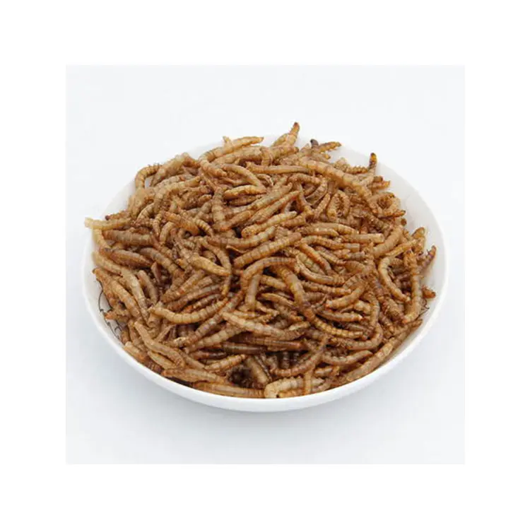 최고 판매 높은 영양 NON-GMO 말린 Mealworms 애완 동물 식품 조류 식품 파충류 애완 동물 식품 동물 사료 사용자 정의 포장 작은 애완 동물