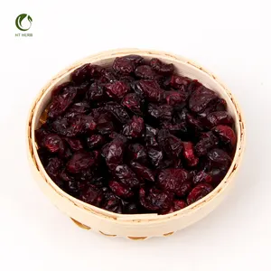 Grosir makanan ringan beku buah Cranberry kering Cranberry