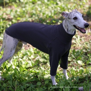 Camiseta de cuello alto de color liso para primavera, en stock, para <span class=keywords><strong>Galgo</strong></span> Italiano y Whippet, ropa informal para mascotas - Product Image 5