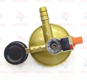 <span class=keywords><strong>Precio</strong></span> barato 20mm 22mm regulador de Gas Lpg con medidor para cilindro de Gas de 12,5 kg regulador de Gas Lp HM205B - Product Image 4