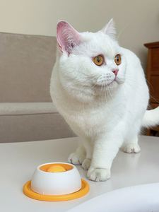 จานอาหารสัตว์เลี้ยงแบบกันพลิก ช่วยให้กินช้าลง ของเล่นแมวแบบกันกัด ทนทาน น้ำหนักเบา ช่วยลดความเครียด <span class=keywords><strong>แมว</strong></span>สามารถเลียเองได้ - Product Image 5