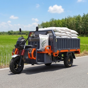 Tricycle électrique cargo à grande capacité de charge de 2 000 kg, moto trois roues équipée d’un moteur de 3 000 W, destinée au - Product Image 1