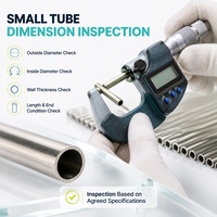 Tube de précision sans soudure en acier inoxydable à paroi mince de petit diamètre Dinto Dinto-PST-173, longueur coupée sur mesure pour instruments et machines