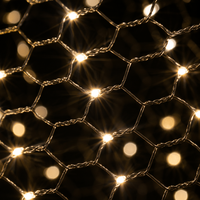 Maßgefertigte Sternenhimmel-LED-Netzbeleuchtung für Innenräume, Dekorative Sternenlichterkette für Hochzeiten, Shows, Konzerte und Bardecken