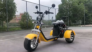 Scooter électrique tout-terrain tout-terrain de Offre Spéciale 1500W Citycoco pour adultes Streetbikes avec gros pneu de tension CEE/Coc 60v - Product Image 6