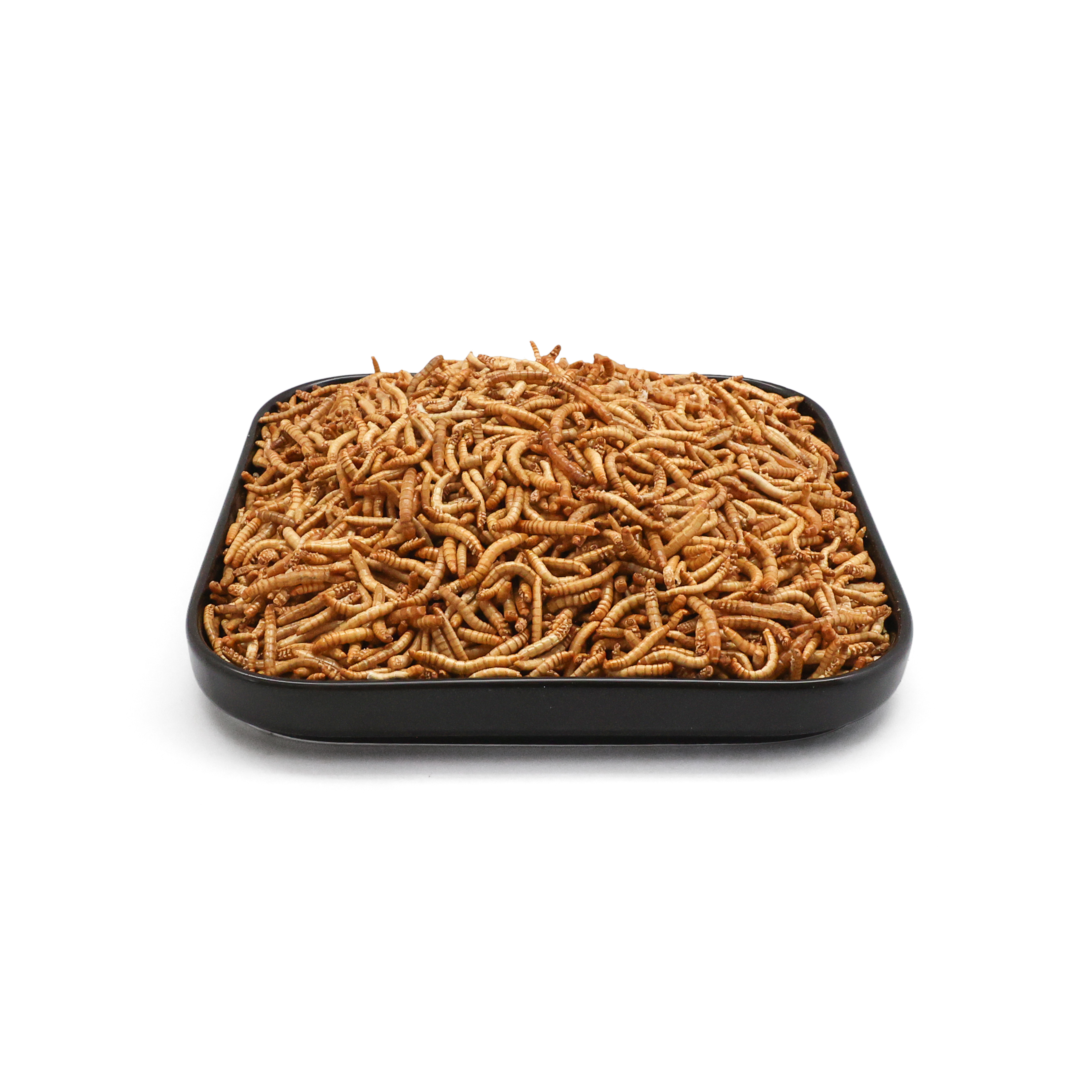 feed mealworm importer
