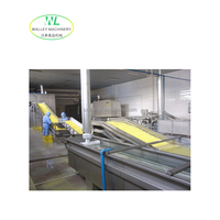 Ligne de lyophilisation automatique à haute capacité au prix d'usine pour les fruits de mer, les fruits, les légumes, pasteurisateur, mélangeur, échangeur de chaleur