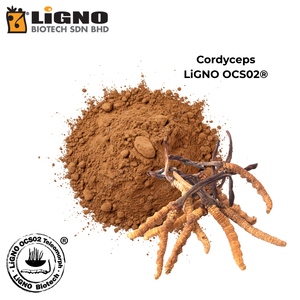 ผู้จัดจำหน่ายที่เชื่อถือได้จากมาเลเซีย Ophiocordyceps sinensis LiGNO OCS02 วัตถุดิบชีวภาพบริสุทธิ์ เหมาะสำหรับวิตามินรวมประจำวัน - Product Image 2