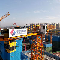 QTZ125(H6015A) 10 T 60m grue à tour à toit plat 60m grues à tour prix avec capacité de chargement nominale de 10 tonnes